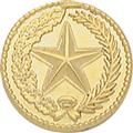 State of Texas Insignia