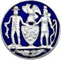 New Your City Insignia