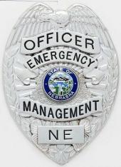 Eagle Topped Badge S100-A