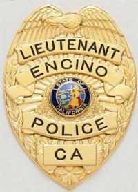 Eagle Topped Badge S100